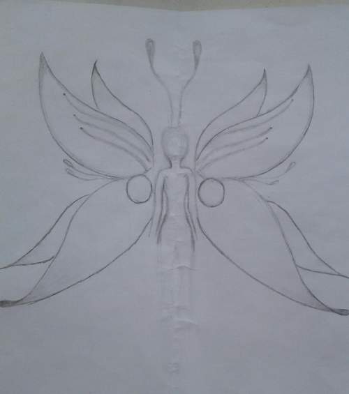 Heres the butterfly do u think?