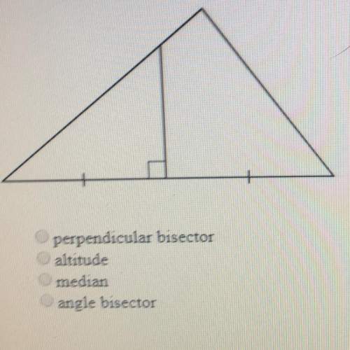 What is the name of the segment inside the large triangle