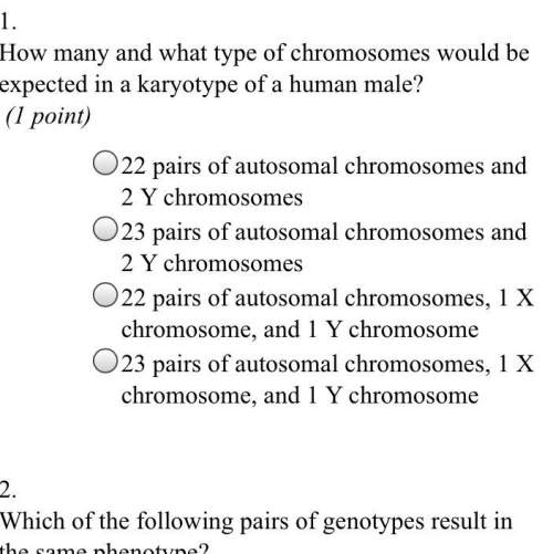 Does anyone know what the answer to this is ?