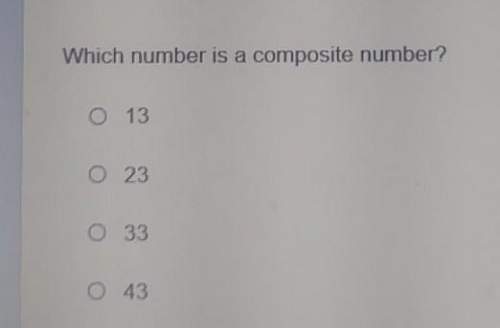 Which number is a composite number
