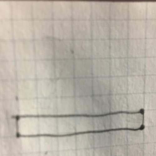 What is the perimeter in units of this rectangle?