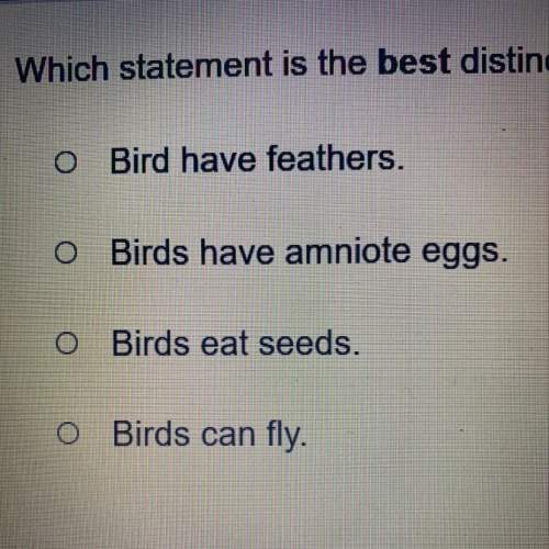 Which statement is the best distinction between birds and other animals