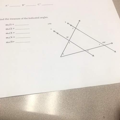 What’s the measures of the indicated angles