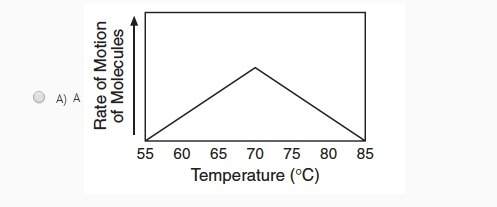Which graph correctly shows the effect of heat energy on the motion of molecules of matter?