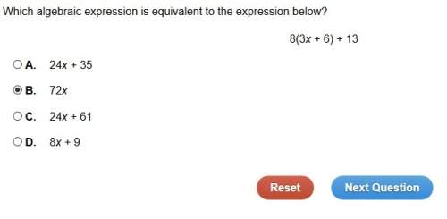 Which algebraic expression is equivalent to the expression below?  8(3x + 6) + 13&lt;