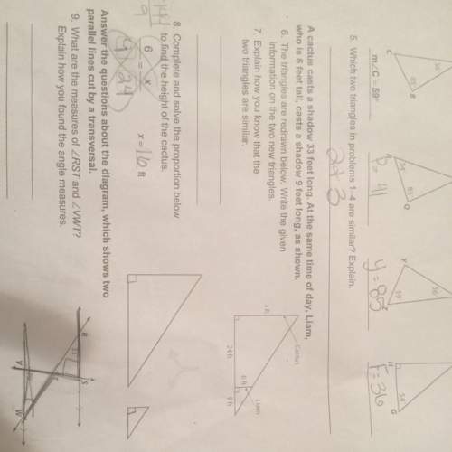 Write the given information on the two new triangles