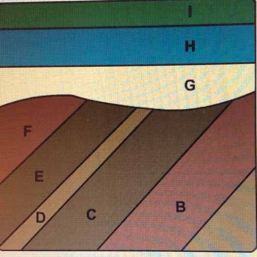 Which rock layer is the youngest layer a. layer d. layer g. layer i.