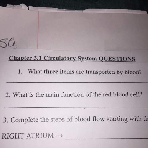 What are three items are transported by blood