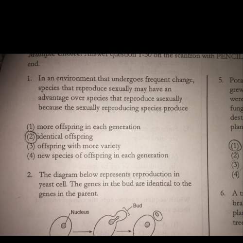 Why is 3 the correct answer to number 1 ? explain why and answer this