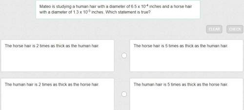 Mateo is studying a human hair with a diameter of 6.5 x 10^-4 inches and a horse hair with a diamete