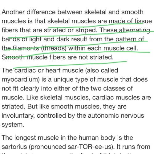 Which of the following correctly describes the appearance of muscle tissue used to voluntarily raise