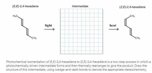 Photochemical isomerization of (E,E)-2,4-hexadiene to (Z,E)-2,4-hexadiene is a two-step process in w