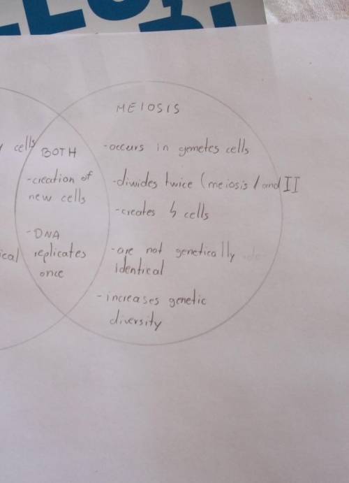 Create a venn diagram to compare and contrast mitosis and meiosis. A picture would do or drawing. ​