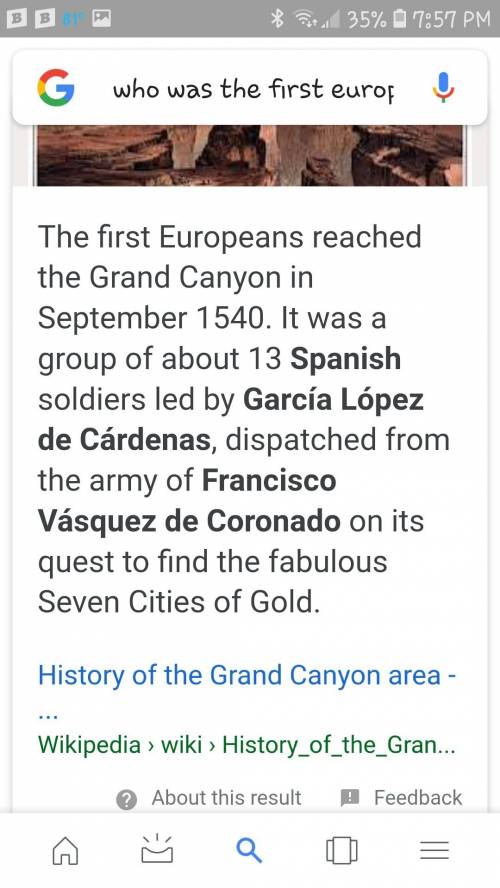 Who is the first european explorer to see the grand canyon?  i need it asap