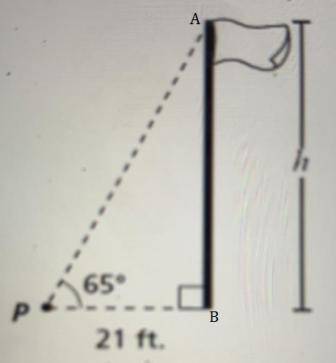 Question 7 (1 point)

The angle of elevation from point P to the top of the pole is 65°. Point Pis 2