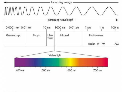 What is an example of an electromagnetic wave? Select all that apply. *

gamma ray
ocean wave
light