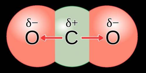 What geometric shape is the carbon dioxide molecule? The Lewis structure for CO2 contains two double