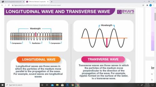 How do longitudinal waves differ from transverse waves? Give examples of both.