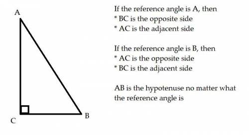 In ΔABC , angle C is a right angle.

Which statement must be true?
A.sin A = cos B
B.sin A = tan B
C