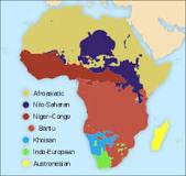 What is the dominant language family in sub-saharan africa?