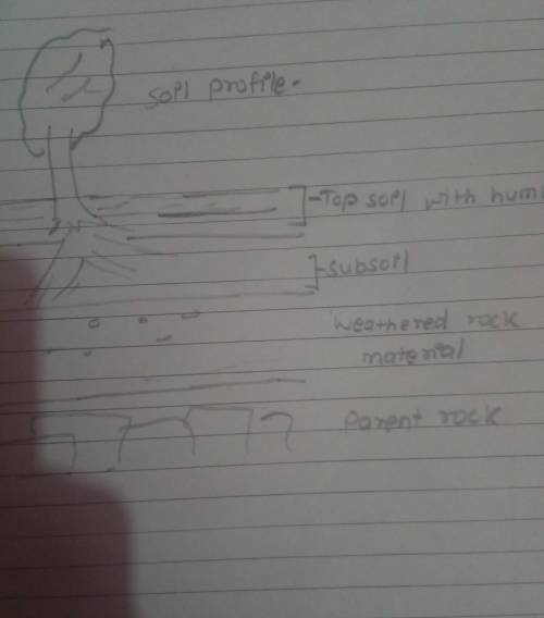 How soil is formed explain with the help of diagram.

I want a diagram also write it by own no copy