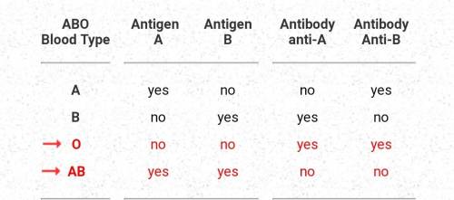 Name the antigens that determine human blood groups