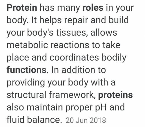 What are the functions of proteins in
organisms?