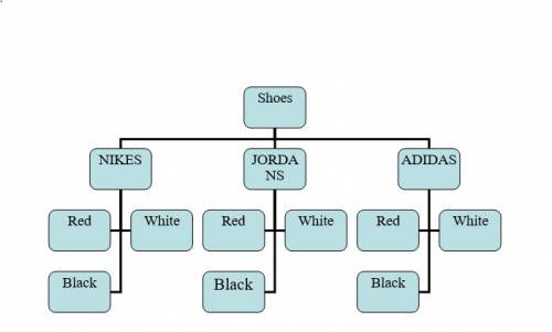Create a tree diagram showing that you have adidas , nikes and jordans . the colors of the shoes com
