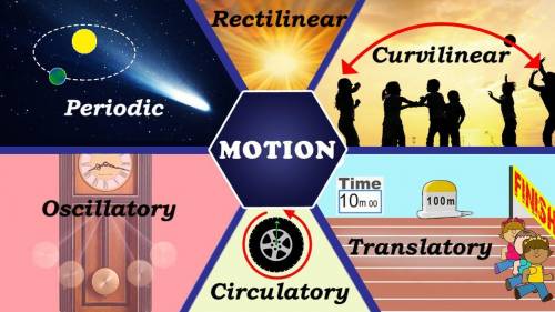 What is types of motion ​