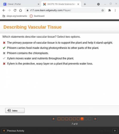 Which statements describe vascular tissue? Check all that apply.

a)The primary purpose of vascular
