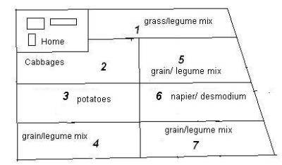Show a diagram of a four year crop rotation using yam, cassava, maize, cowpea​