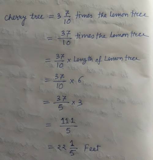 Lucy planted a lemon tree and a cherry tree. the lemon tree is 6 feet tall. the cherry tree is 3 7/1