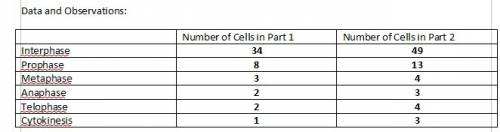 Hypothesis:  what do you predict you will find about the number of cells in each of the phases of th