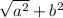 \sqrt{a {}^{2} }  + b {}^{2}