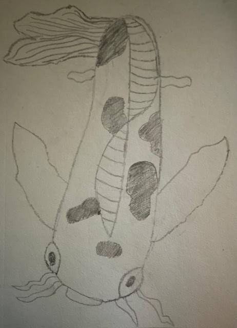 Draw a koi fish, similar to my teacher's you can use art hub, doesn't matter if you color it!

REPOR