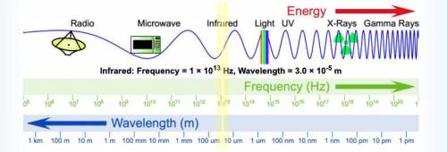 Which of the following have frequencies greater than orange light Your 

radio waves 
purple light