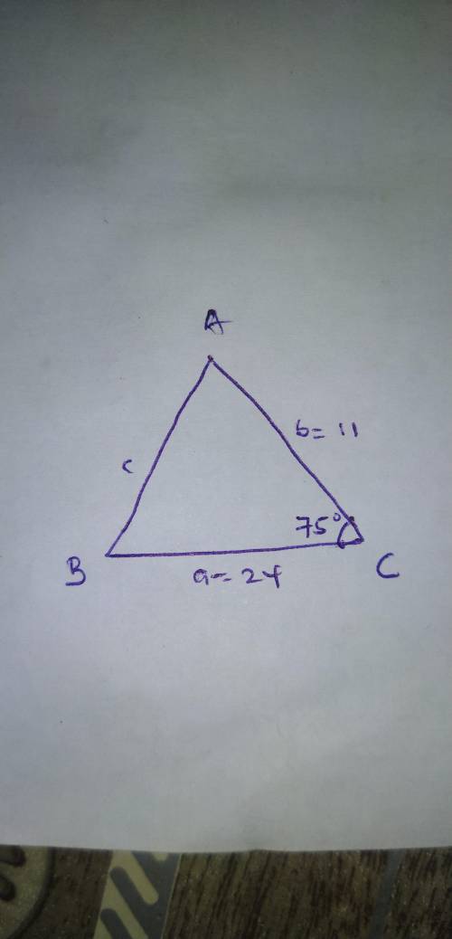 Hello I am once again asking for help ASAP

4. In triangle ABC, AC=11,BC=24, and m
a. 40
b. 46.3
c.