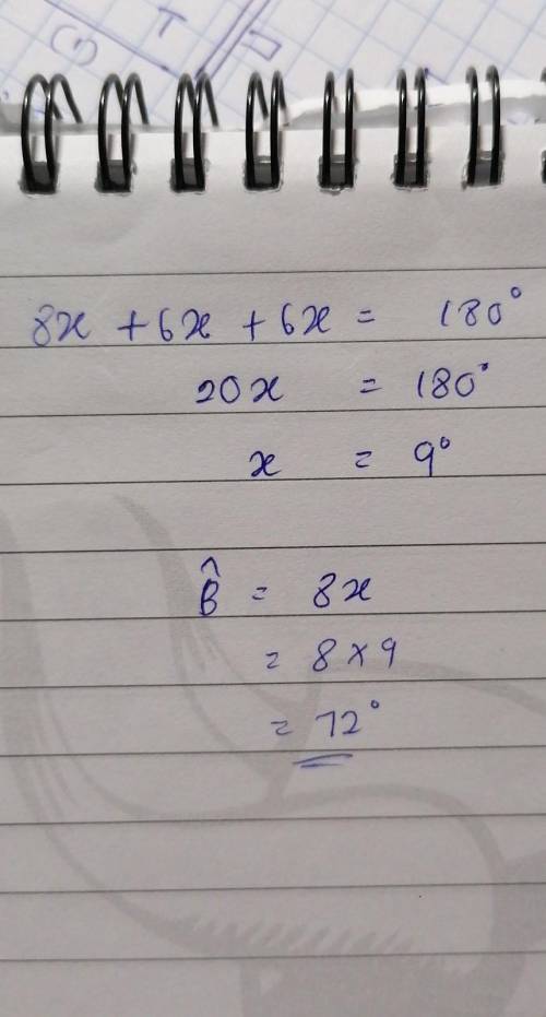 Write the measure of angle b