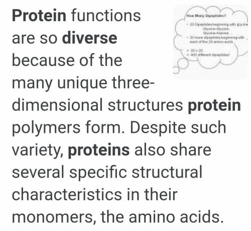 Which BEST describes why protein functions are diverse?

A 
Protein creation is an unregulated proce