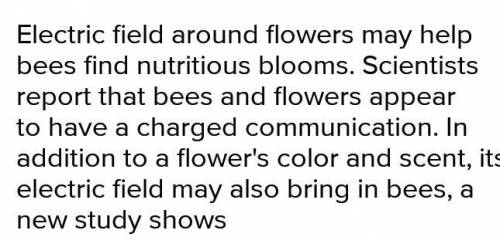 Explain how electric fields make pollination efficient in plants.​