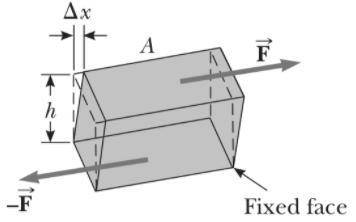 Using a small cube as a representative volume of material, illustrate graphically all the six indepe