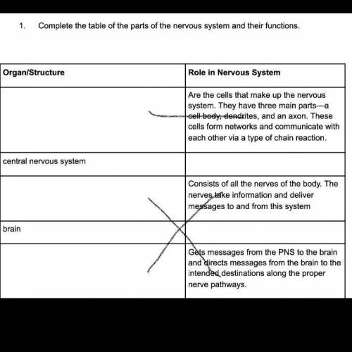 PLEASE HELP WITH THIS.

Complete the table of the parts of the nervous system and their functions.
P