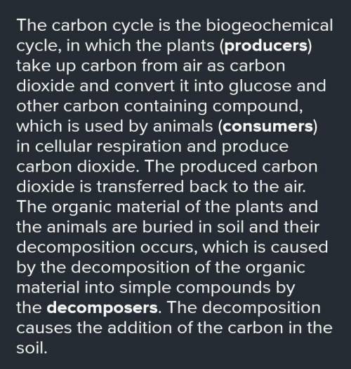 The carbon cycle relies on producers and consumers to survive. What is the role of each in the carbo
