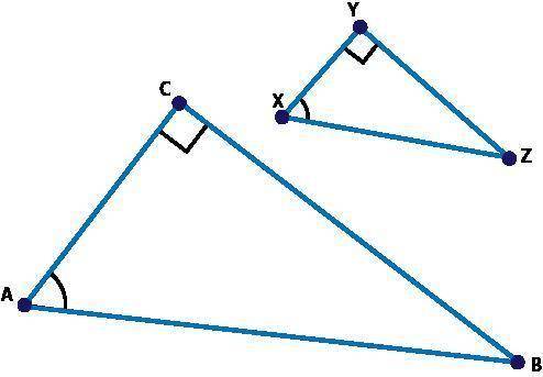 1.Triangle XYZ was dilated by a scale factor of 2 to create triangle ACB and cos ∠X = 2.5/5.59

Part