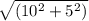 \sqrt{(10^2+5^2)}