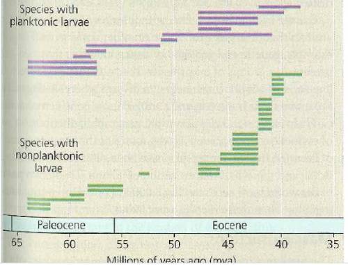 Count the number of new species that form in each group beginning at 60 mya (the first three species