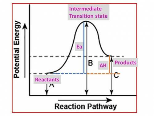 45  will give !  the diagram shows the potential energy changes for a reaction pathway. a curved lin