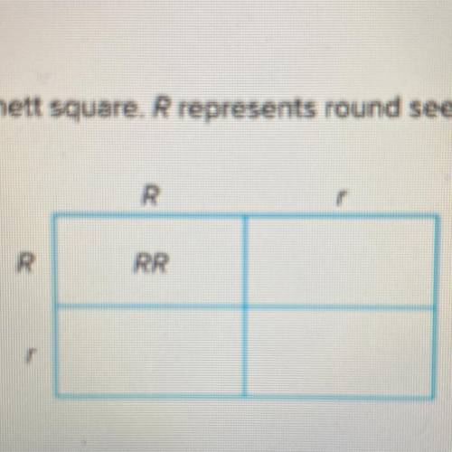 Analyze the punnett square R represents round seeds r represents wrinkled seeds

ratio of phenotypes
