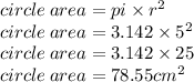 circle \: area = pi \times  {r}^{2}  \\ circle \: area = 3.142 \times  {5}^{2}  \\ circle \: area = 3.142 \times 25 \\ circle \: area = 78.55 {cm}^{2}