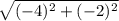 \sqrt{(-4)^2+(-2)^2}